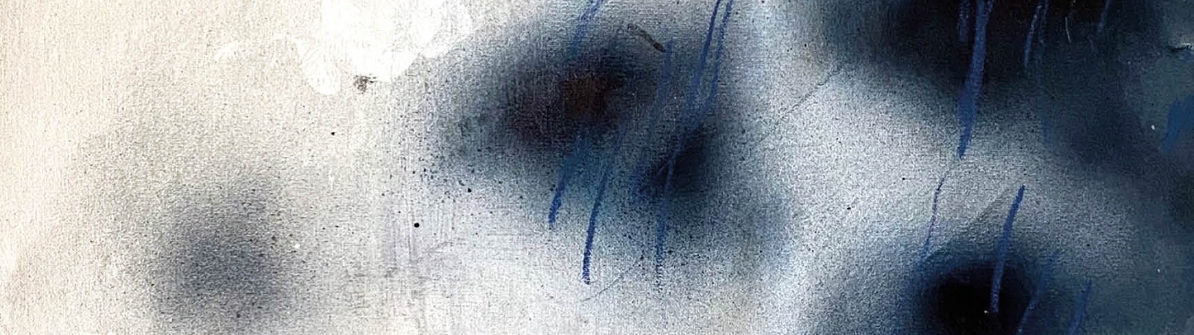 elogio dell'ombra - davide maggioni 